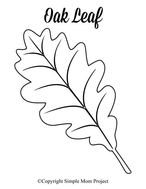 fall leaf template printable|free printable oak leaf template.